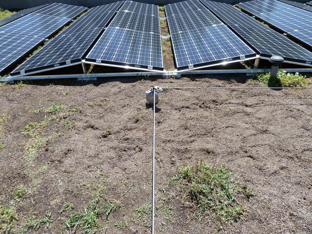 Anschlageinrichtung SA-SIANK Line C für Flachdach kombiniert mit Photovoltaik Anlage - nachträglicher Einbau